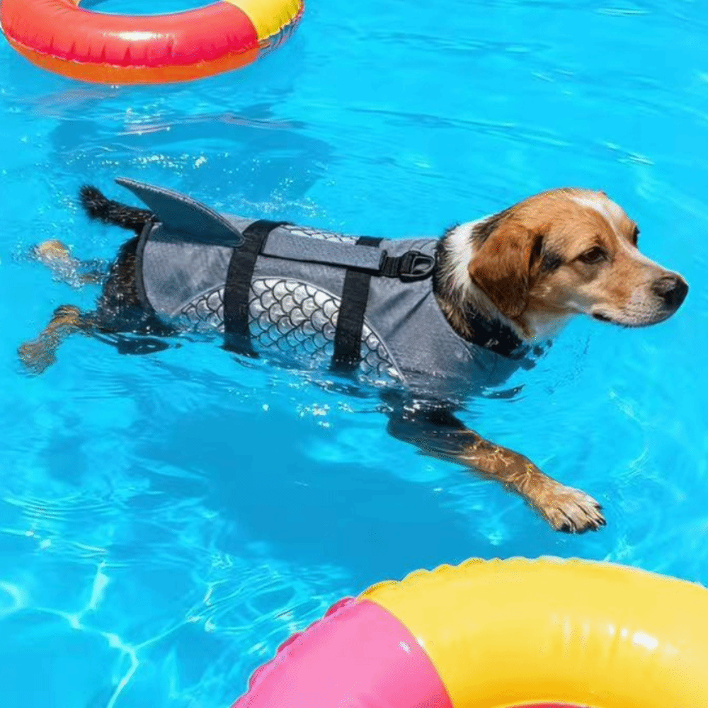 Life Jacket Buoyancy - 강력한 부력 강아지 구명조끼 반짝이는 비늘