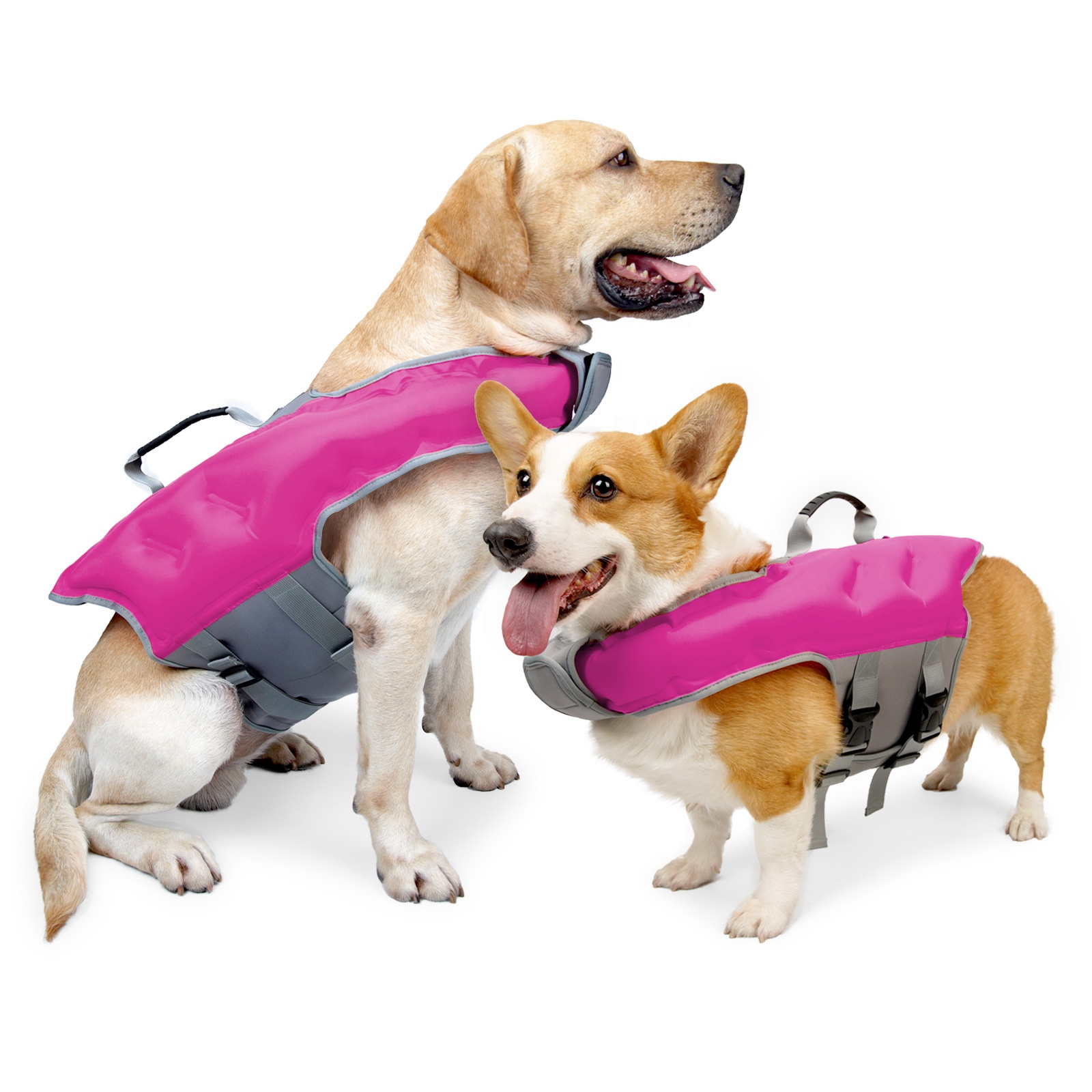 애완동물 구명조끼 여름용 풍선형 수영복은 강한 부력과  - Life Jacket Buoyancy 리뷰 및 가격