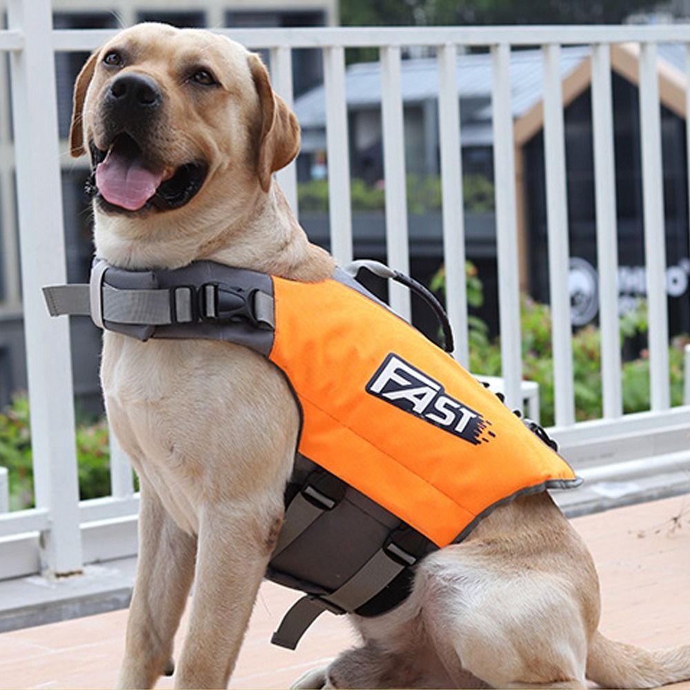 조절 가능한 반려동물 수영 조끼 반사 기능 슈퍼 부력  - Life Jacket Buoyancy 리뷰 및 가격